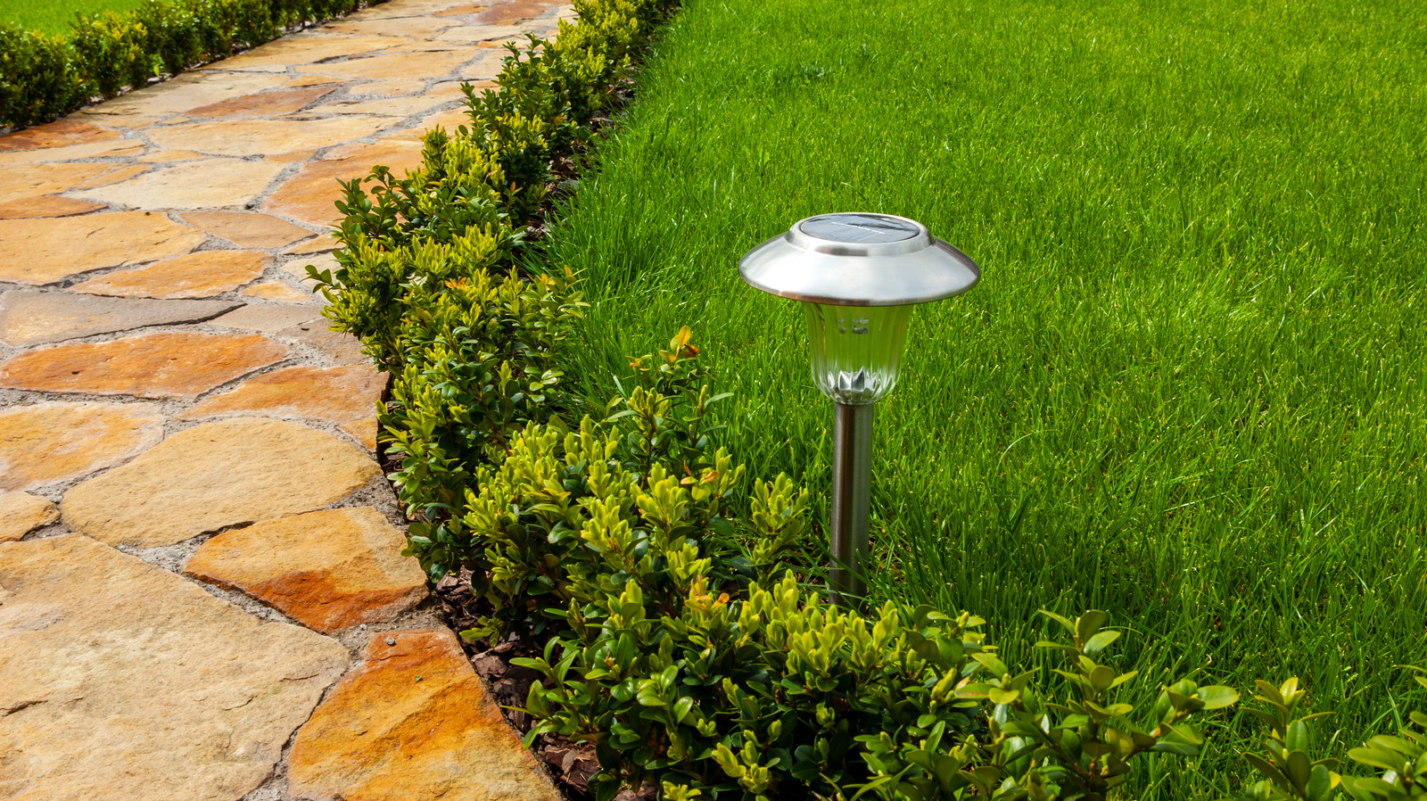 Las 5 luces solares para exteriores mejor valoradas para animar el jardín por la noche