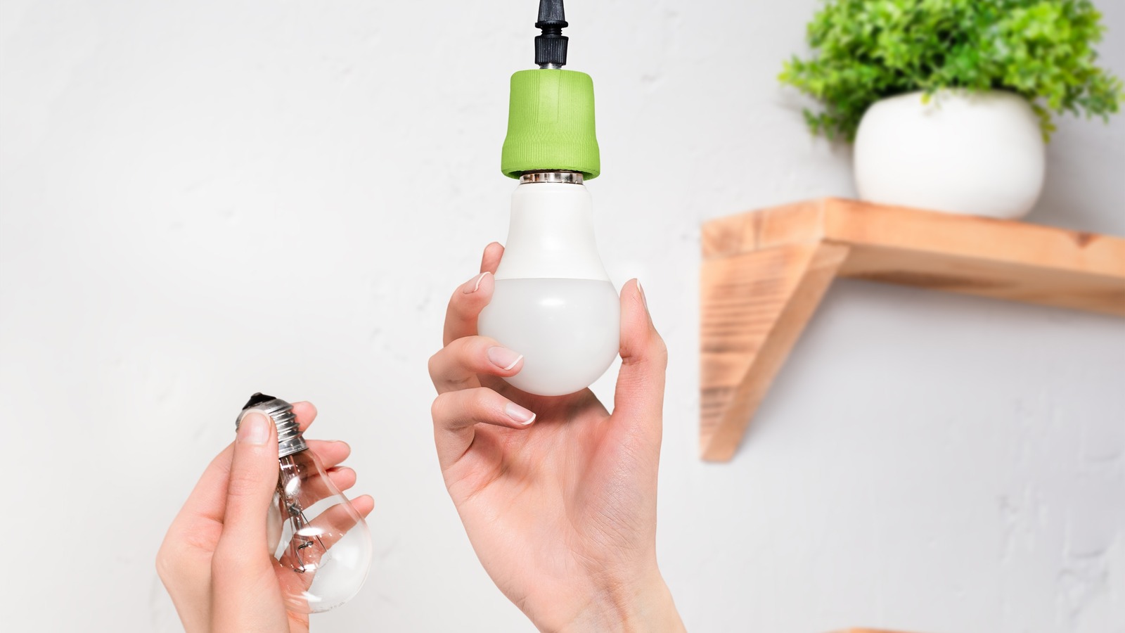 3 tipos de bombillas LED que te ayudarán a ahorrar dinero
