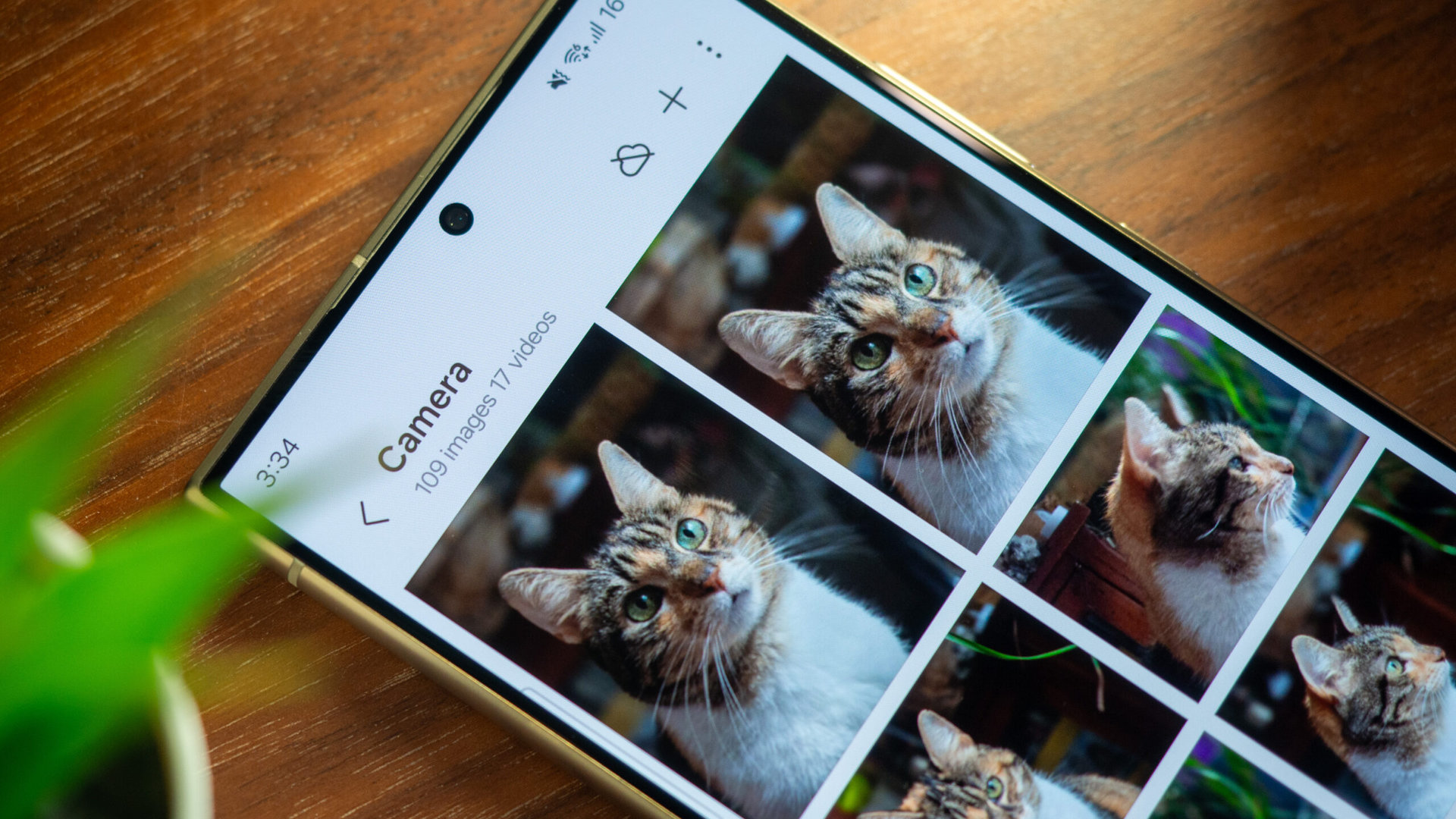 La primera actualización del Galaxy S24 con correcciones de cámara y pantalla se está implementando a nivel mundial