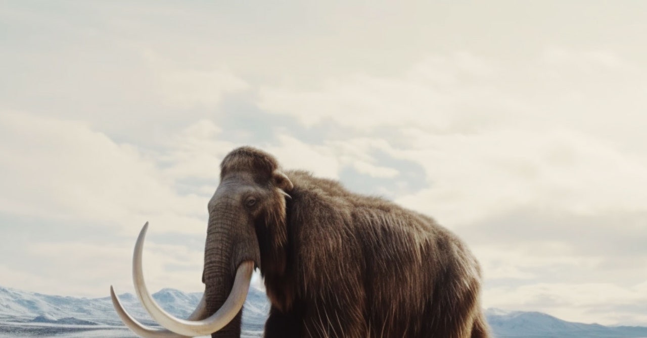 La misión de una startup de recuperar al mamut lanudo se está convirtiendo en una serie documental