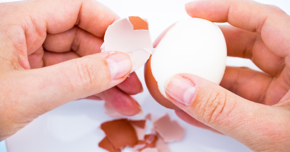 El descubrimiento de nanopicos de cáscara de huevo podría mejorar las cirugías de reparación de ligamentos