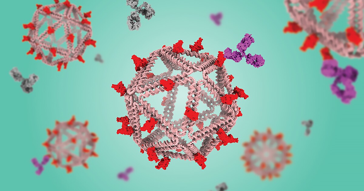 Las partículas de ADN que imitan el virus administran una vacuna sin efectos secundarios inmunitarios