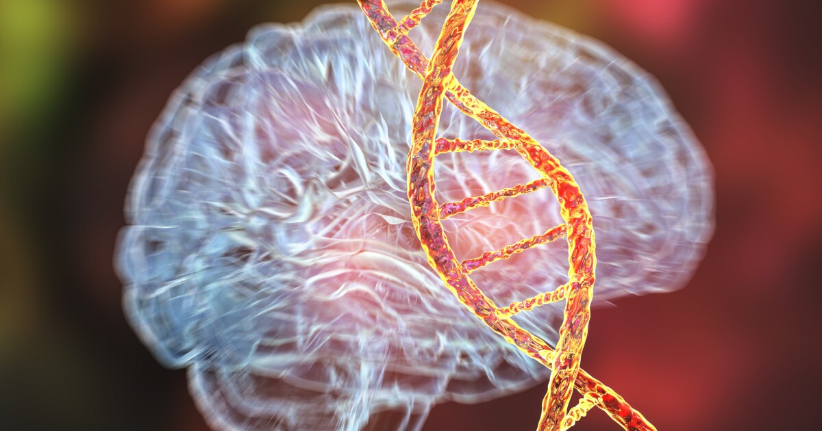 La terapia genética de dosis única puede detener en seco los trastornos cerebrales mortales