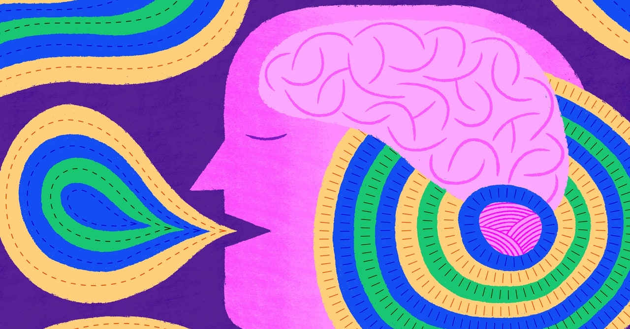 La región del cerebro que controla el movimiento también guía los sentimientos