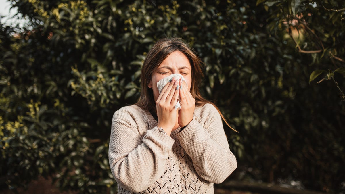 Vence los estornudos: consejos y aplicaciones para afrontar las alergias estacionales de frente