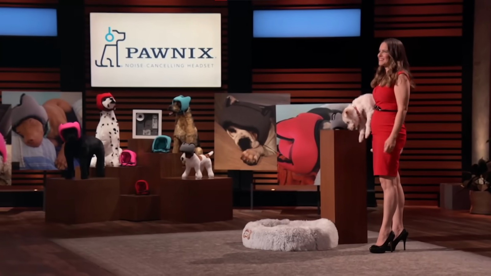 ¿Qué pasó con los auriculares con cancelación de ruido para perros Pawnix de la temporada 13 de Shark Tank?