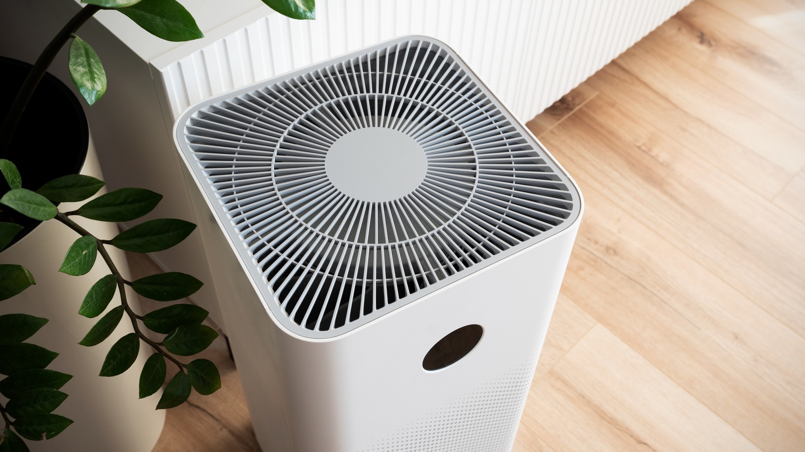Estos son los mejores purificadores de aire por menos de $500 para su hogar u oficina