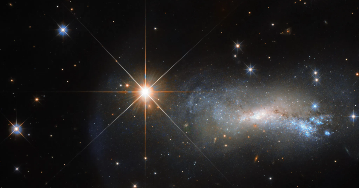 La nueva y brillante ‘Estrella Polar’ pronto aparecerá a la vista: así es como se ve