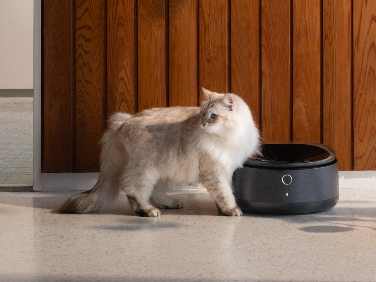 El nuevo comedero inteligente de comida húmeda refrigerada de Petlibro es lo que tu gato se merece