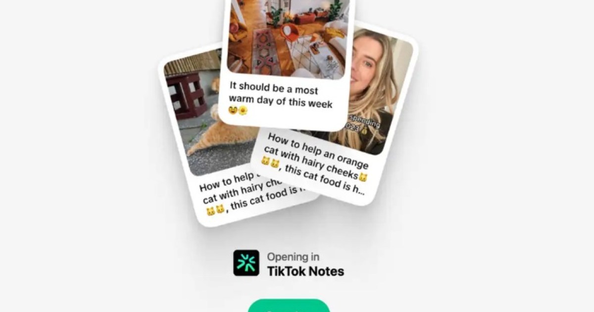 Afírmate Instagram: TikTok Notes ya sería una realidad