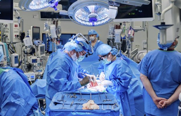 Los médicos combinaron una bomba cardíaca y un trasplante de riñón de cerdo en una cirugía innovadora