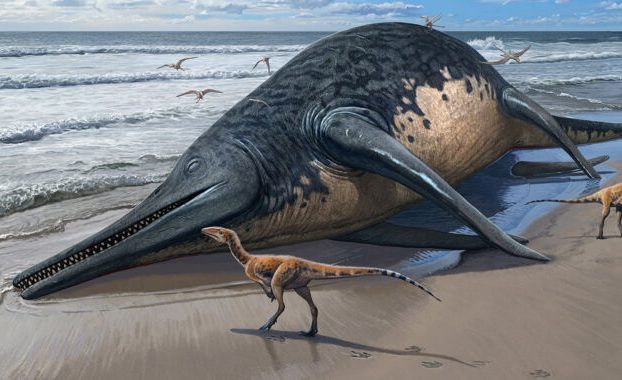 El reptil marino más grande jamás alcanzado podría igualar en tamaño a las ballenas azules