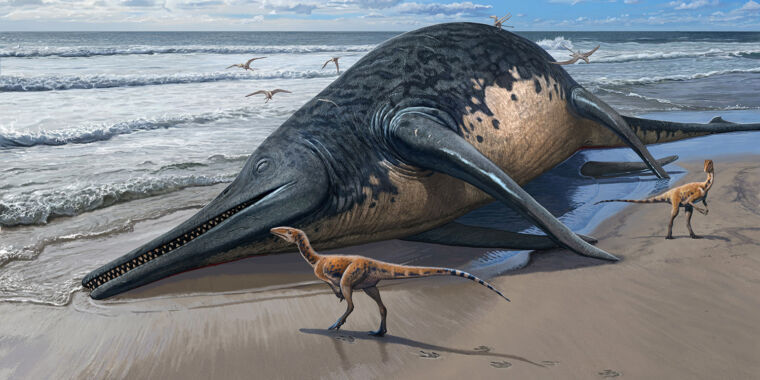 El reptil marino más grande jamás alcanzado podría igualar en tamaño a las ballenas azules