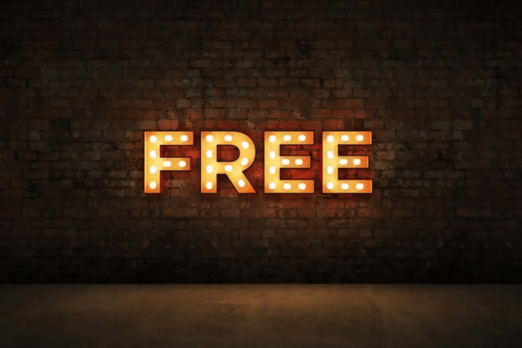 ¿Son buenas las VPN gratuitas?