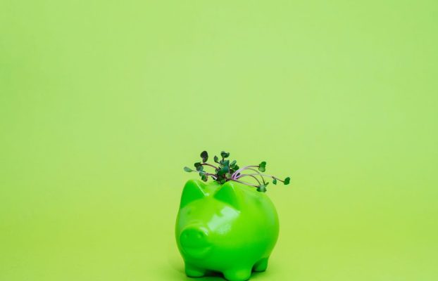 Sea ecológico sin arruinarse: 9 trucos ecológicos que también me ahorran dinero – CNET