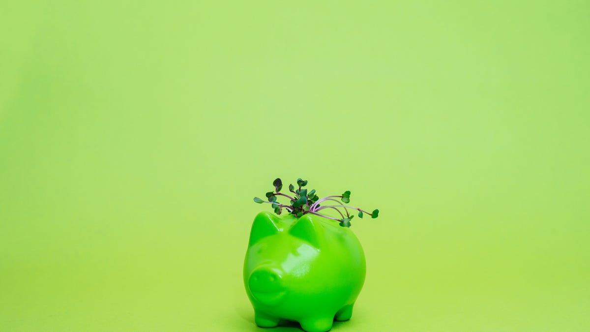 Sea ecológico sin arruinarse: 9 trucos ecológicos que también me ahorran dinero – CNET