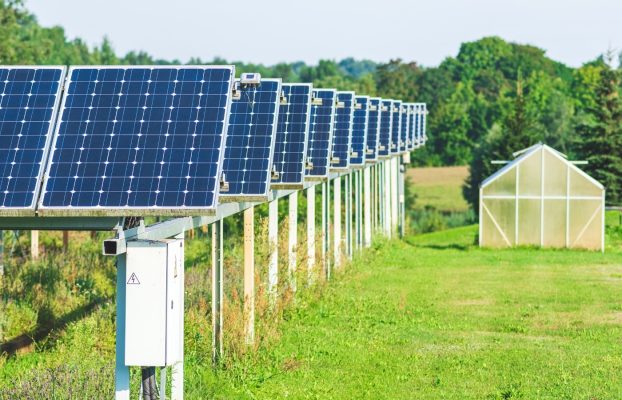 5 cosas que los paneles solares pueden alimentar en su invernadero