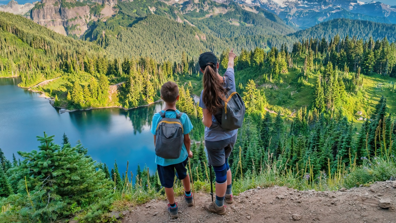 5 aplicaciones útiles para usar al visitar parques nacionales