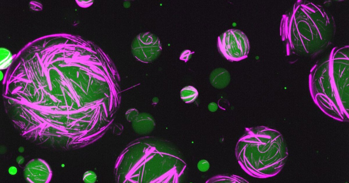 Las células sintéticas autoensambladas actúan como células vivas con capacidades adicionales
