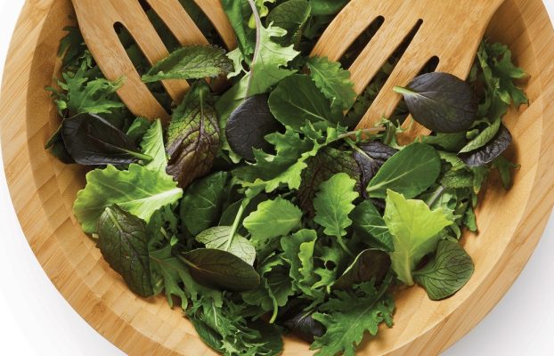 Las verduras para ensalada editadas genéticamente llegarán a las tiendas de EE. UU. este otoño