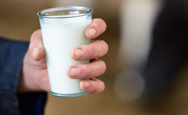 Grupos antipasteurización reafirman amor por la leche cruda a pesar del brote de gripe aviar