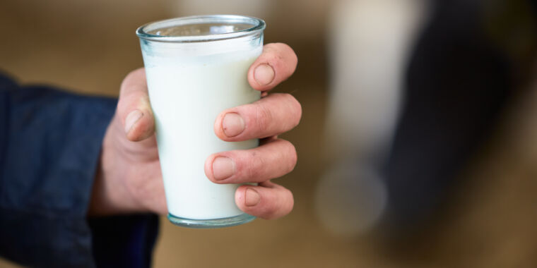 Grupos antipasteurización reafirman amor por la leche cruda a pesar del brote de gripe aviar