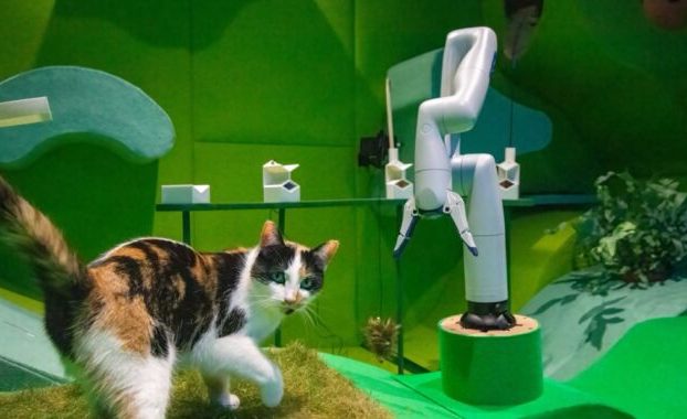 Los gatos que juegan con robots resultan ser una combinación ganadora en una novedosa instalación artística