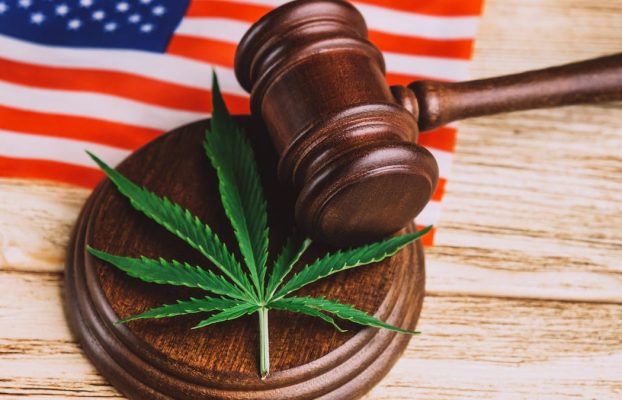 ¿Qué estados han legalizado la marihuana para uso recreativo o médico?