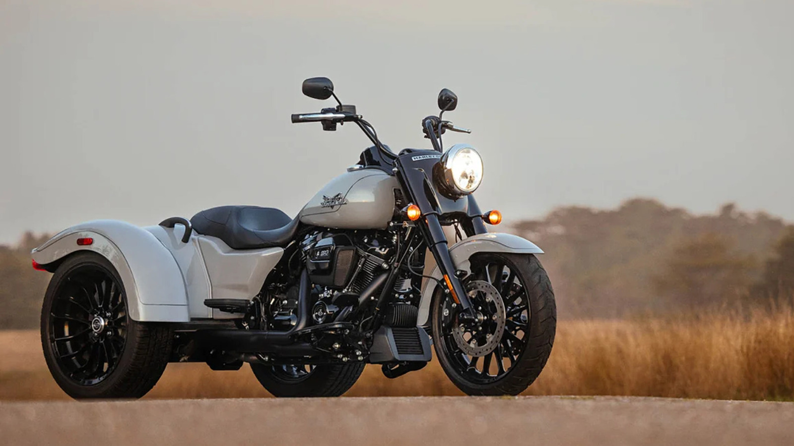 Acerca de la motocicleta Harley-Davidson Freewheeler 2024