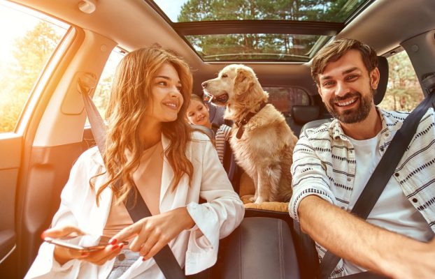 6 accesorios de coche imprescindibles para los dueños de perros