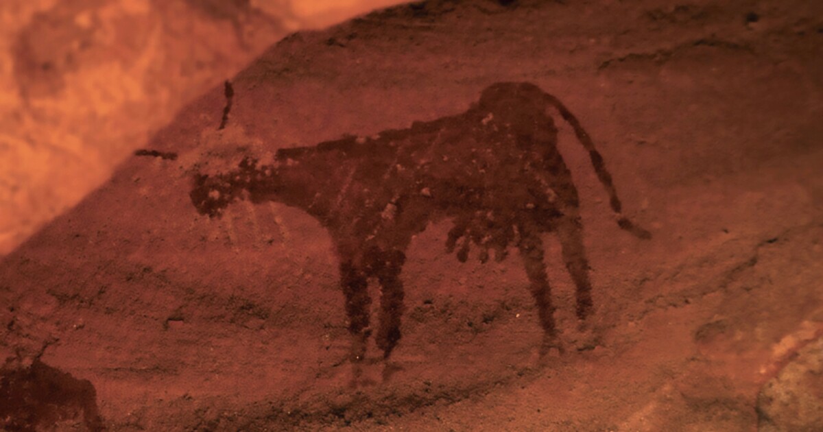 El arte rupestre indica que las vacas alguna vez pastaron en un Sahara verde y exuberante