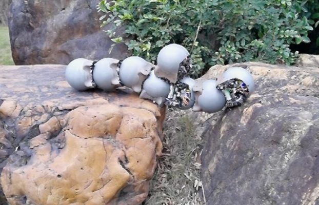 Robo-caracoles con caparazón de hierro pululan juntos para tareas todoterreno