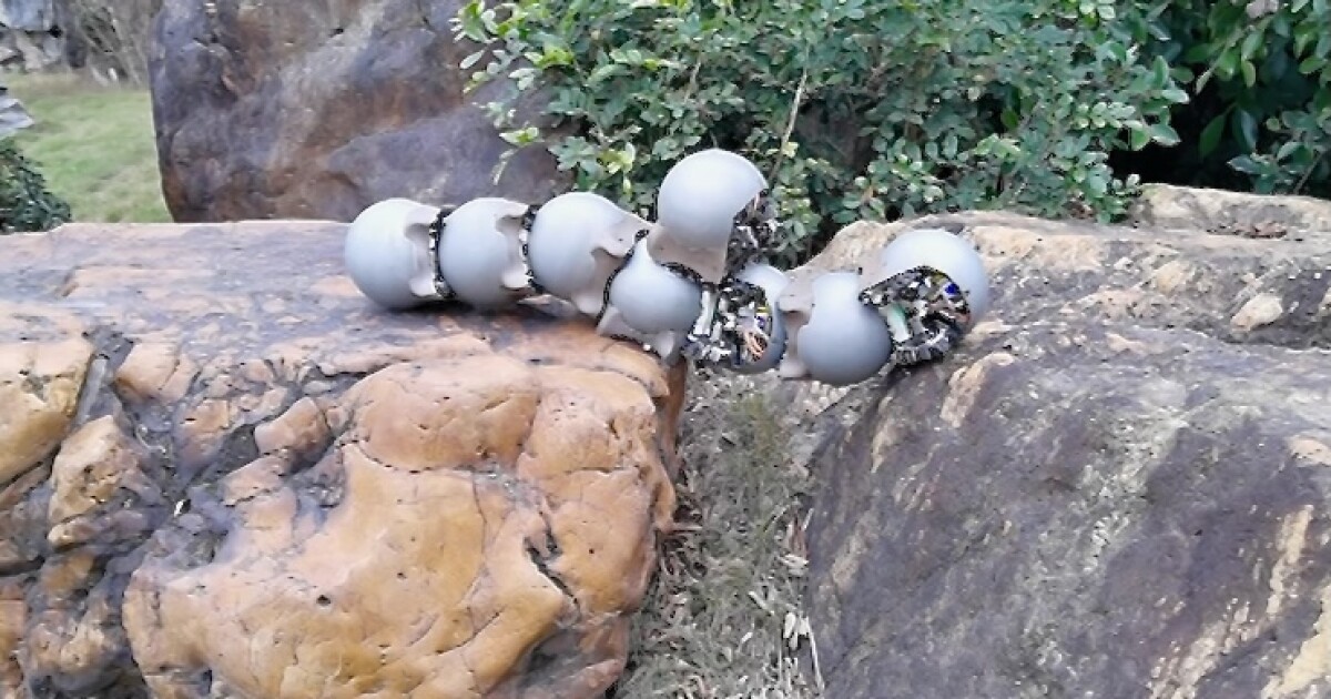 Robo-caracoles con caparazón de hierro pululan juntos para tareas todoterreno