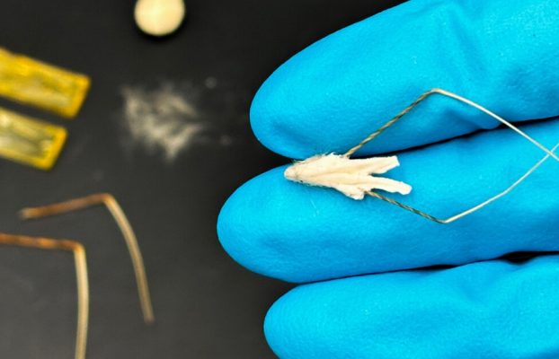 «Semillas robóticas» biohíbridas autoplantantes inspiradas en la avena silvestre