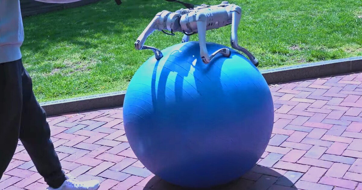 GPT entrena robots mejor que humanos, como lo demuestra este perro sobre una pelota de yoga