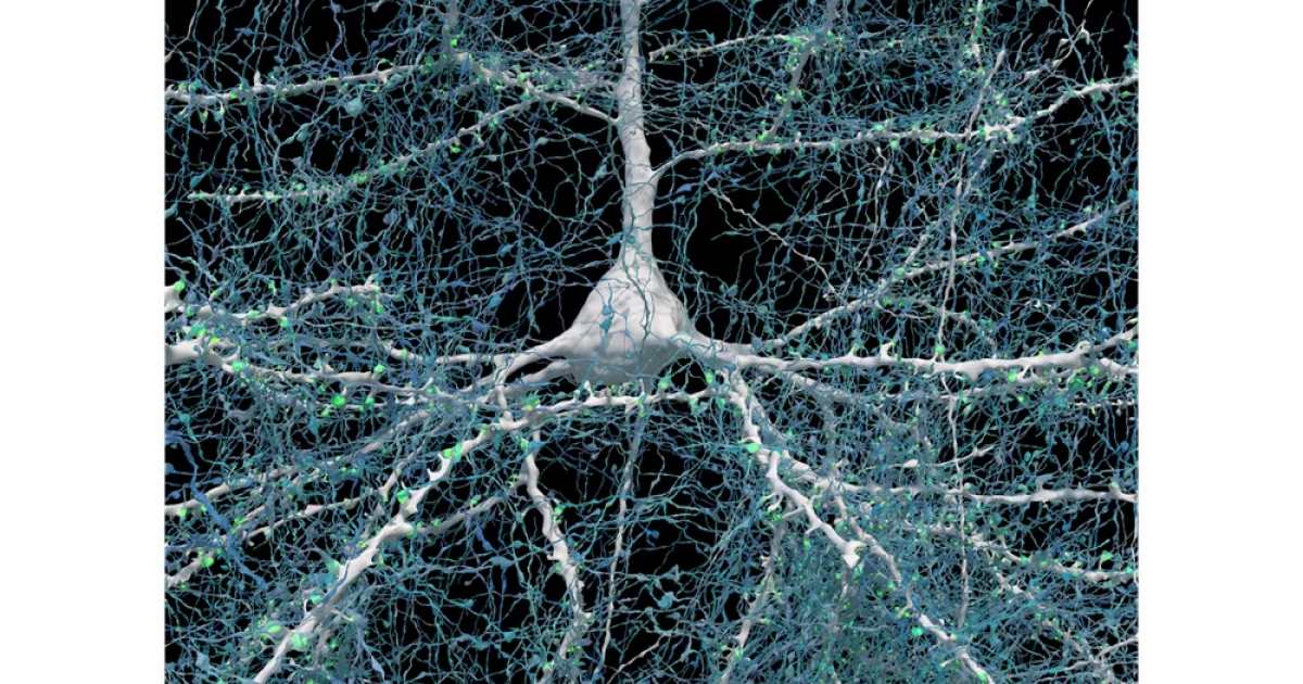 Increíble diagrama de cableado en 3D del cerebro humano es como un pequeño mundo conectado