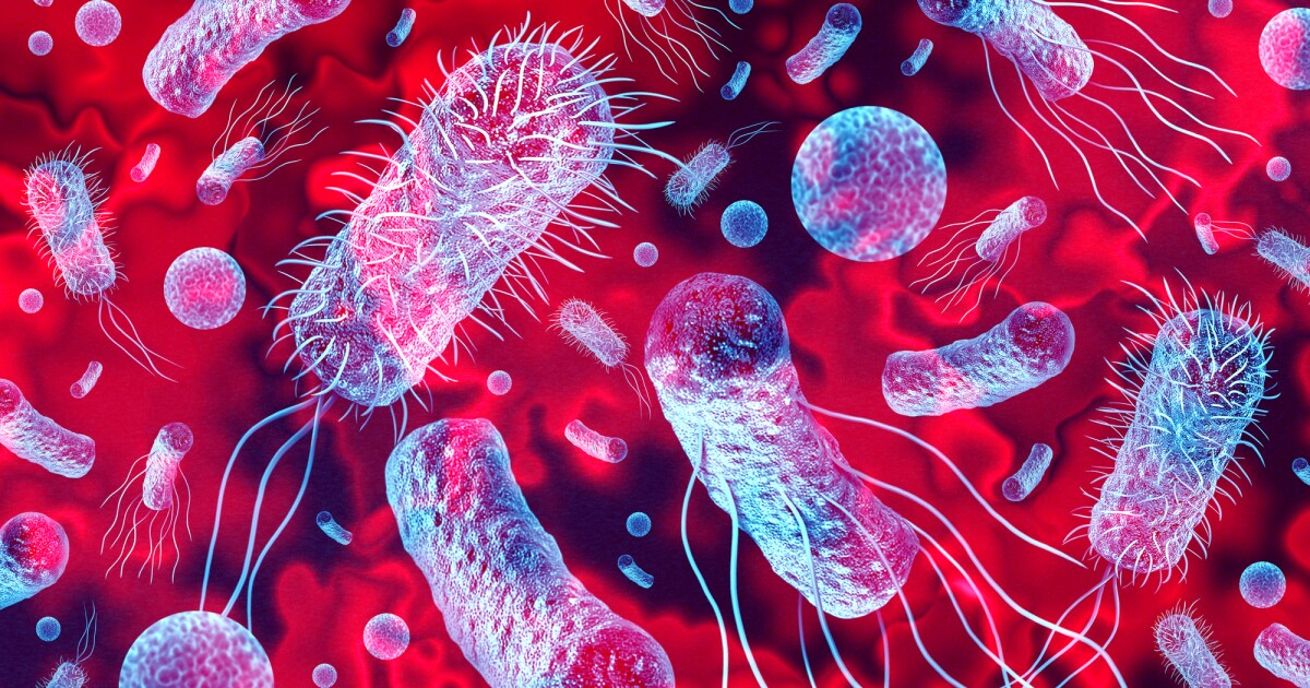 El antibiótico de próxima generación mata las superbacterias pero deja en paz a las bacterias intestinales buenas