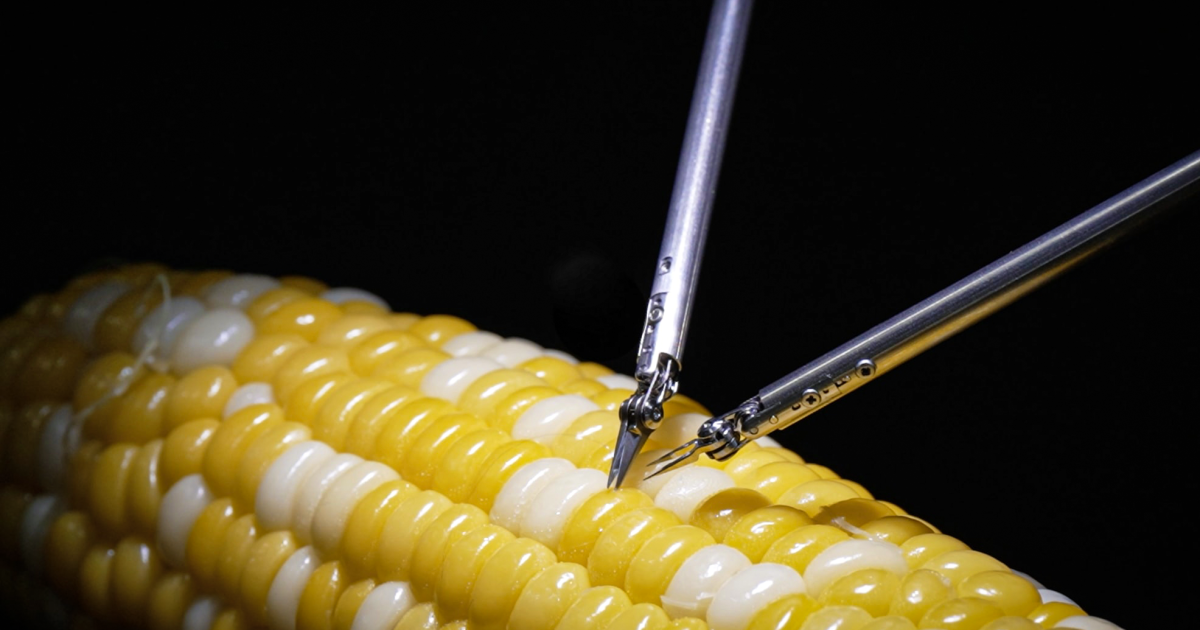 El nuevo robot de microcirugía de Sony cose un grano de maíz