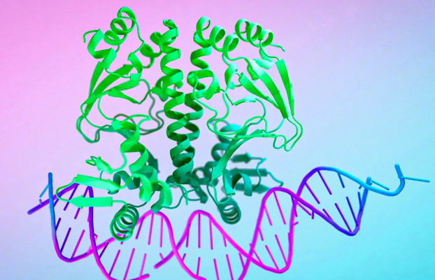 AlphaFold 3 abre una nueva era científica al dominar ‘todas las moléculas de la vida’