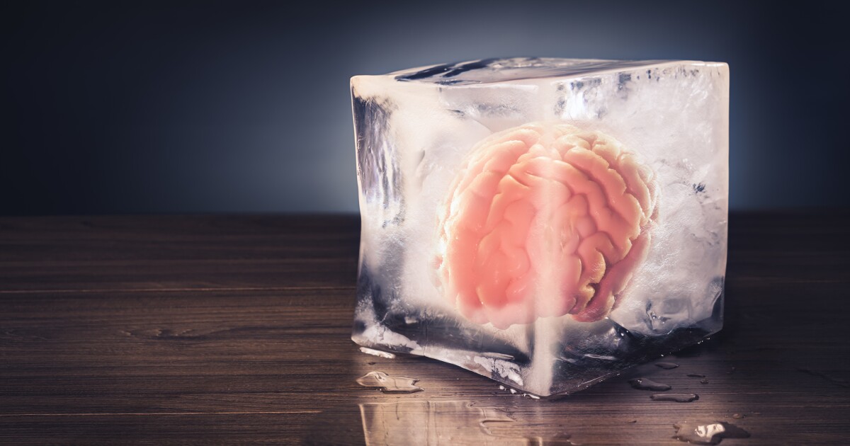 Los cerebros bañados en una mezcla química se pueden congelar y descongelar de forma segura