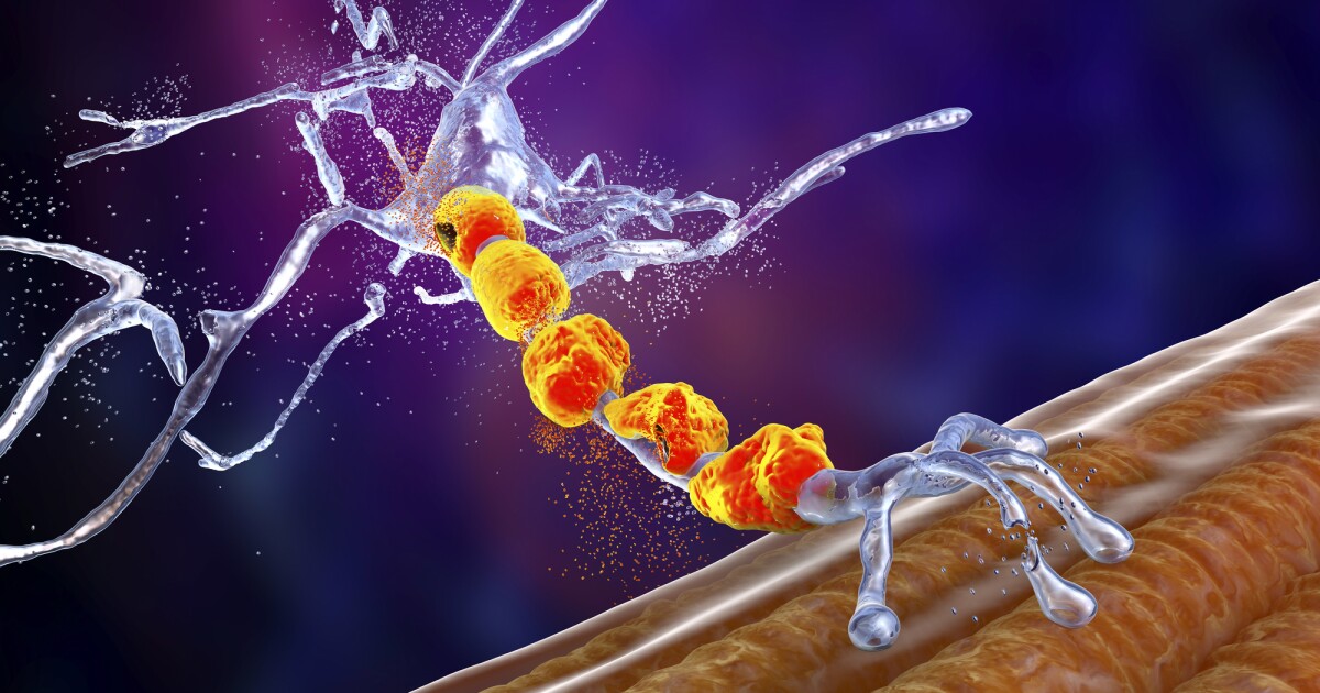 La píldora regeneradora de sinapsis pasa a la fase 2 de ensayos en humanos