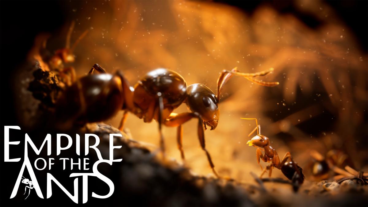 Empire of the Ants te permitirá explorar la vida de un insecto fotorrealista este noviembre