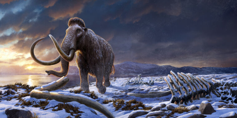 El ADN de restos de mamut revela la historia de la última población superviviente