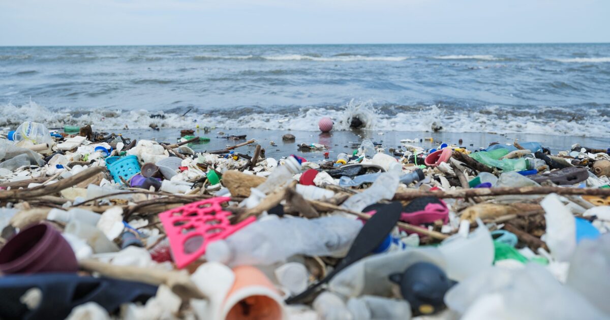 Un hongo marino activado por rayos ultravioleta muerde los desechos plásticos