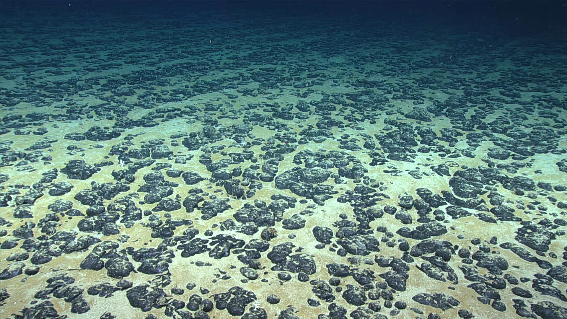 Investigadores descubren «rocas batería» generadoras de oxígeno en el fondo del océano