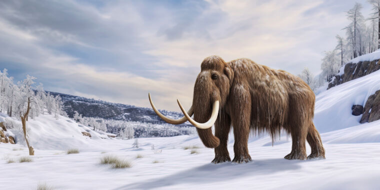La piel de mamut congelada conserva su estructura cromosómica