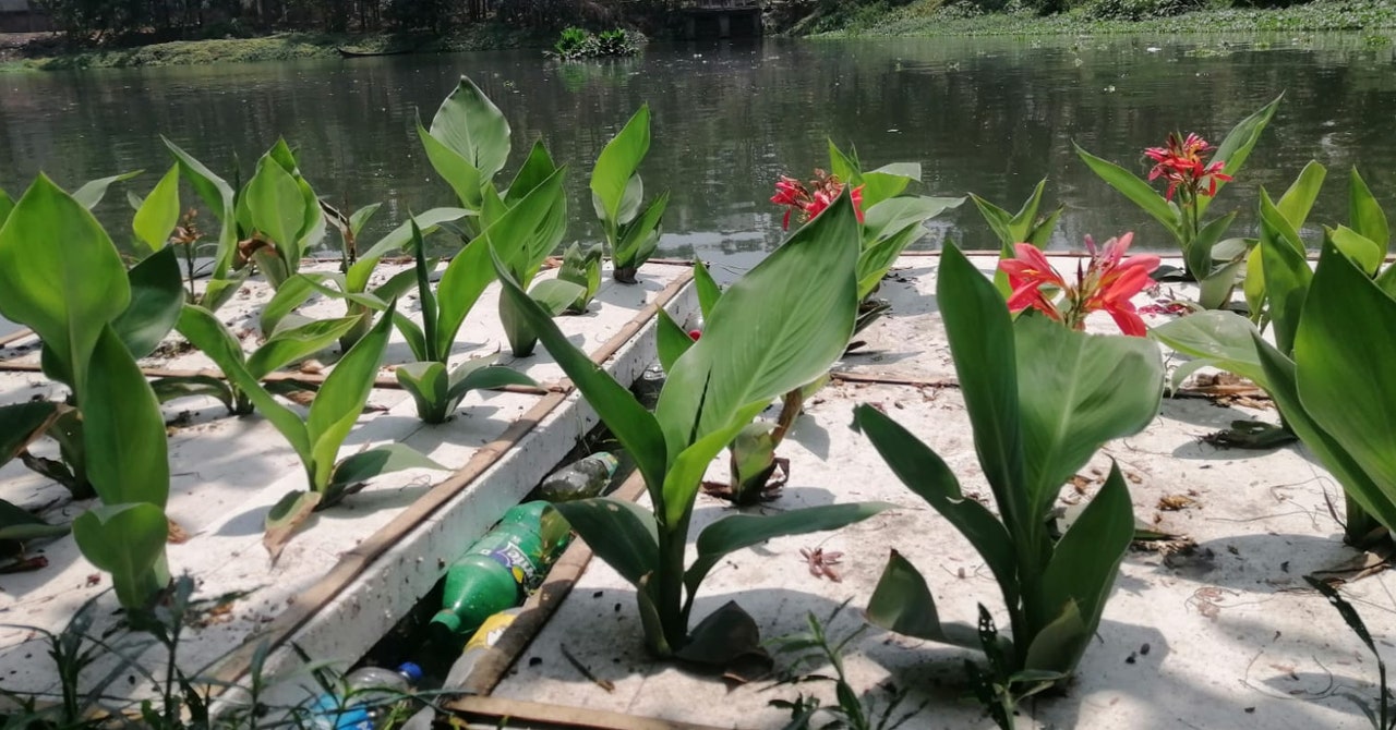 Los lagos contaminados se limpian con humedales flotantes hechos de basura