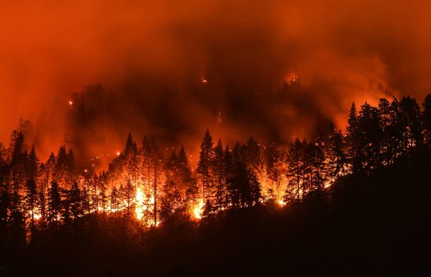 Los incendios forestales extremos se han duplicado en frecuencia e intensidad en los últimos 20 años