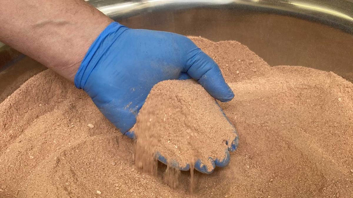 NovoNutrients modifica sus microbios para convertir el CO2 en proteínas para personas y mascotas
