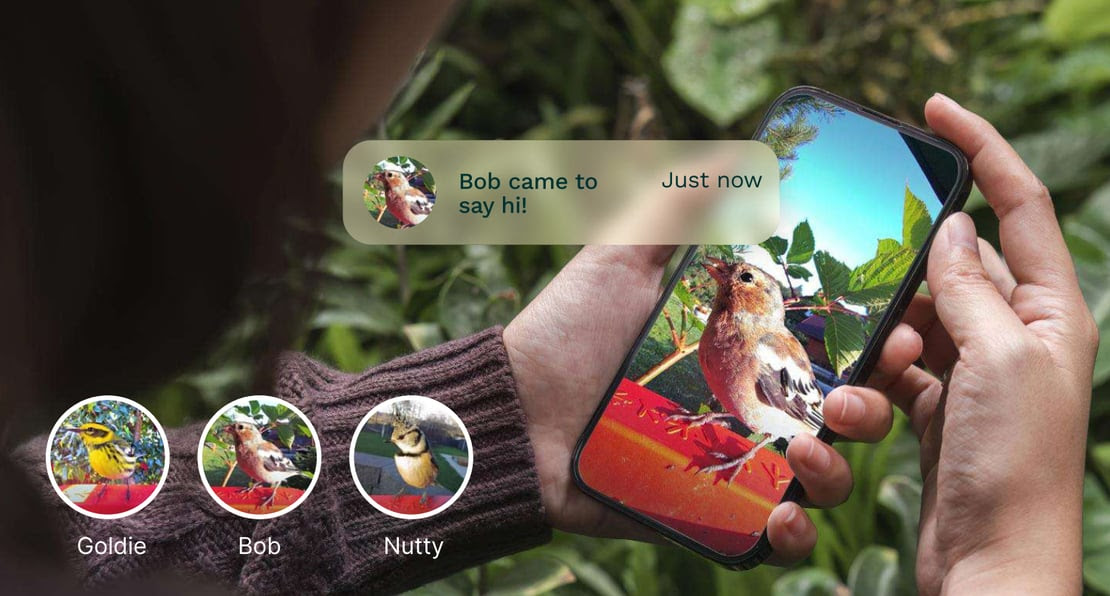 La nueva función de inteligencia artificial de Bird Buddy permite a las personas nombrar e identificar aves individuales